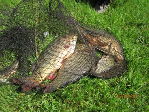 Результат рыбалки