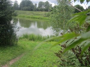 Берег озера